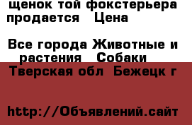 щенок той-фокстерьера продается › Цена ­ 25 000 - Все города Животные и растения » Собаки   . Тверская обл.,Бежецк г.